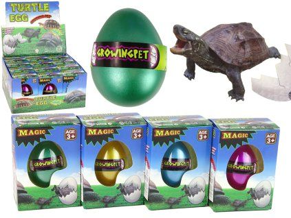 Magiškas 6 cm augantis vėžlio kiaušinis