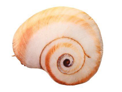 Pliušinė kriauklė pagalvė