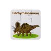 Vzdělávací puzzle dinosauři03