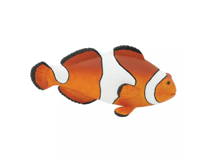 236124 rybka nemo