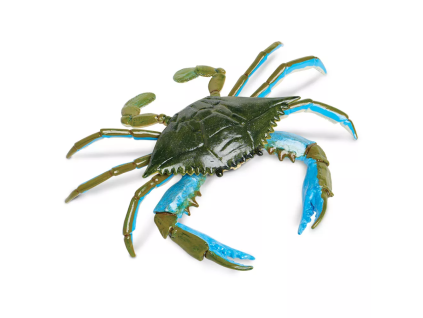 236226 modry krab