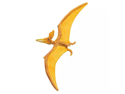 236244 pteranodon