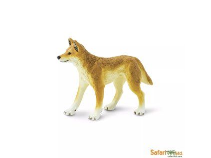237735 dingo