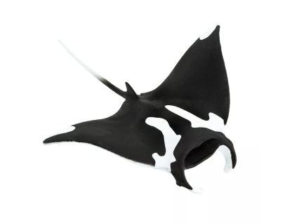 238047 manta