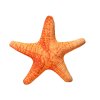 220183 1 plysovy polstar hvezdice oranzova