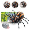224511 3 pavouk tarantule na dalkove ovladani infracervene i r cerny