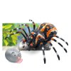 224511 pavouk tarantule na dalkove ovladani infracervene i r cerny