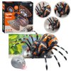 224511 pavouk tarantule na dalkove ovladani infracervene i r cerny