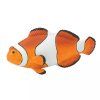 236124 1 rybka nemo