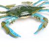 236226 4 modry krab