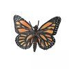 236235 2 motyl monarcha