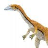 237717 4 coelophysis