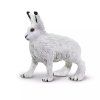 237747 3 zajic polarni