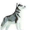 237786 4 sibirsky husky