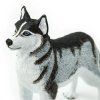237786 5 sibirsky husky