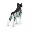 237786 3 sibirsky husky