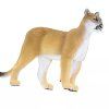 238068 5 puma floridska