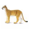 238068 1 puma floridska