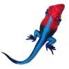 240423 4 agama plochohlava mwanza