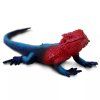 240423 1 agama plochohlava mwanza