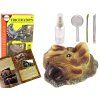 198423 archeologicka sada pro vykopavky dinosaur triceratops