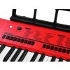 203924 2 velky keyboard s 61 klavesami a mikrofonem