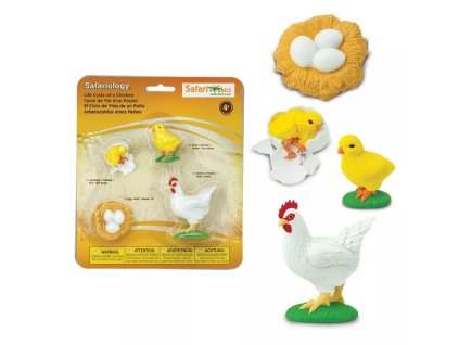 235638 zivotni cyklus kure