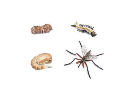 235887 zivotni cyklus komar