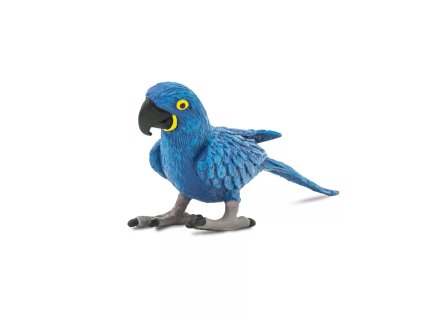 236595 hyacintovy ara