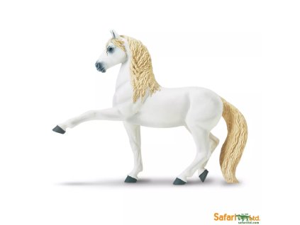 237147 andalusky kun