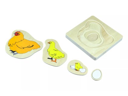 237495 zivotni cyklus kurete