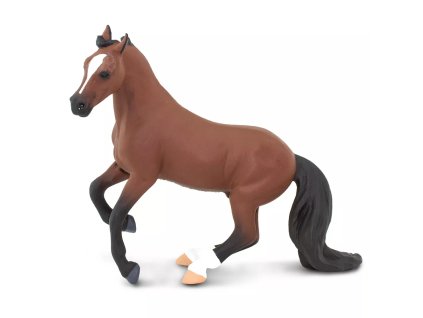 238335 anglicky plnokrevnik