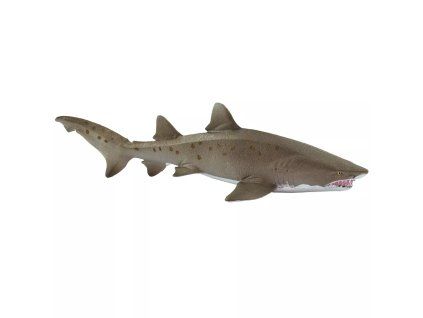 238584 zralok pisecny