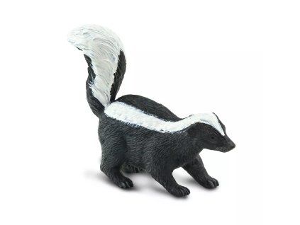 238587 skunk pruhovany