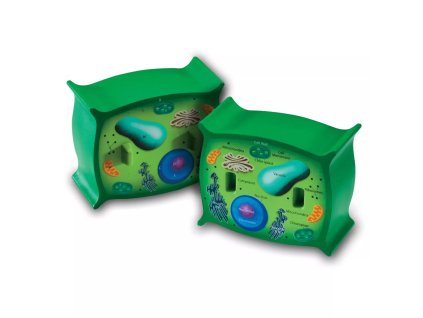 238686 rez rostlinnou bunkou