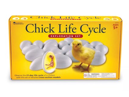 238698 zivotni cyklus kurete