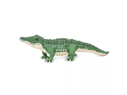 240138 aligator bernie