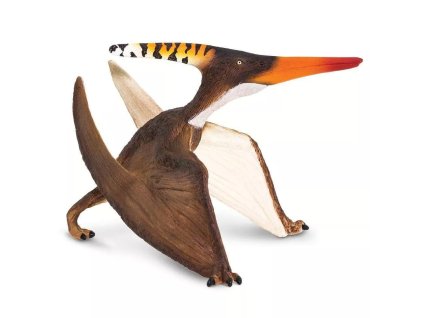 240462 pteranodon