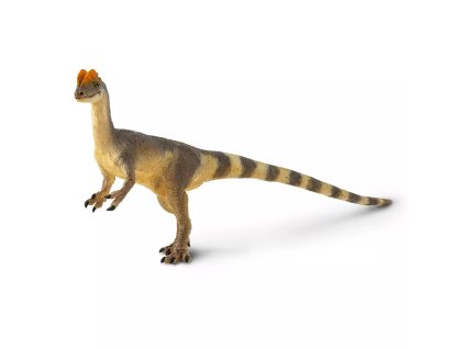 241224 dilophosaurus