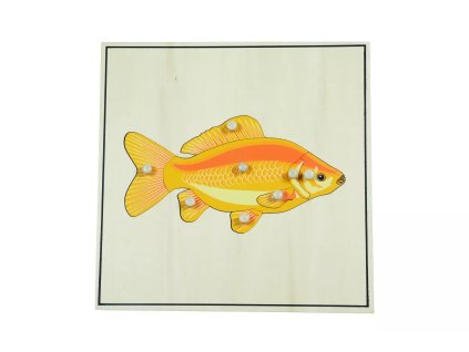 235209 puzzle s kostrou ryba