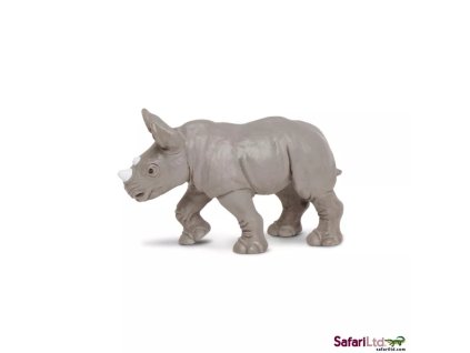 236409 mlade nosorozce tuponoseho