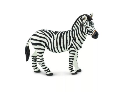 236427 zebra