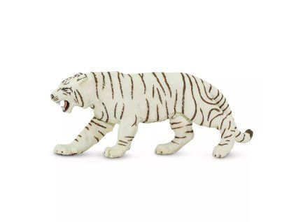 236445 bily bengalsky tygr
