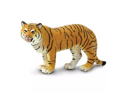 236481 samice tygra bengalskeho