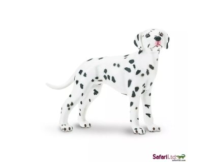 236685 dalmatin