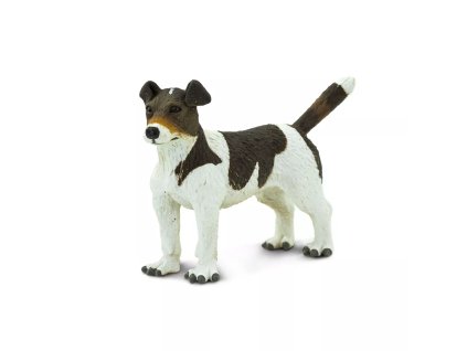 236700 jack russel terier