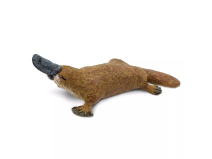 237366 ptakopysk podivny