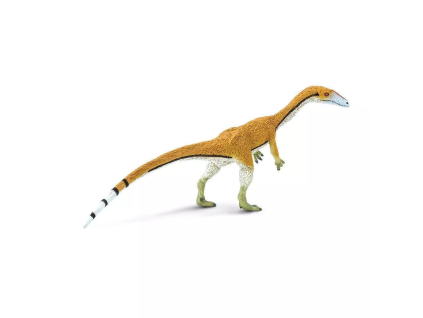 237717 coelophysis