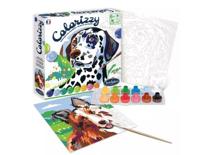 239943 colorizzy psi