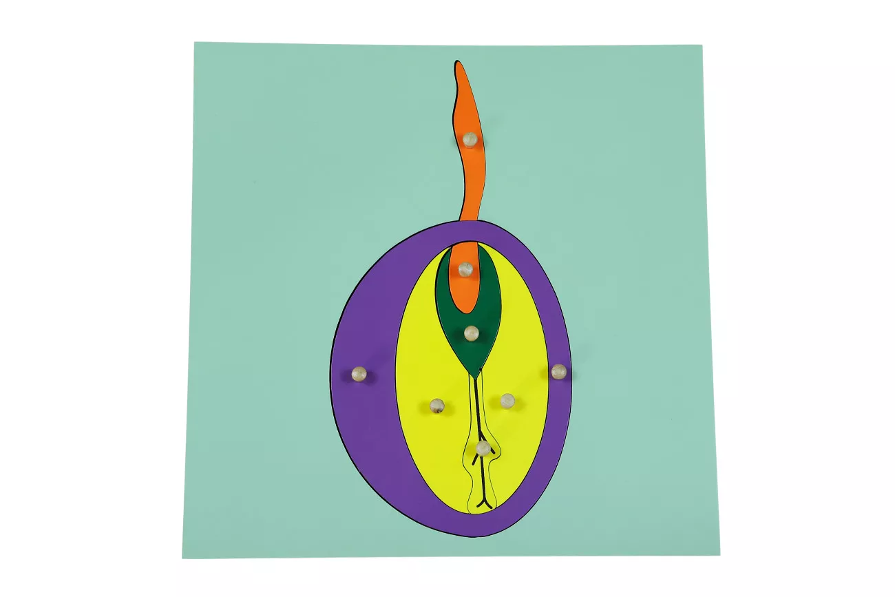 Moyo Montessori Puzzle - seme